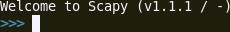 scapy1